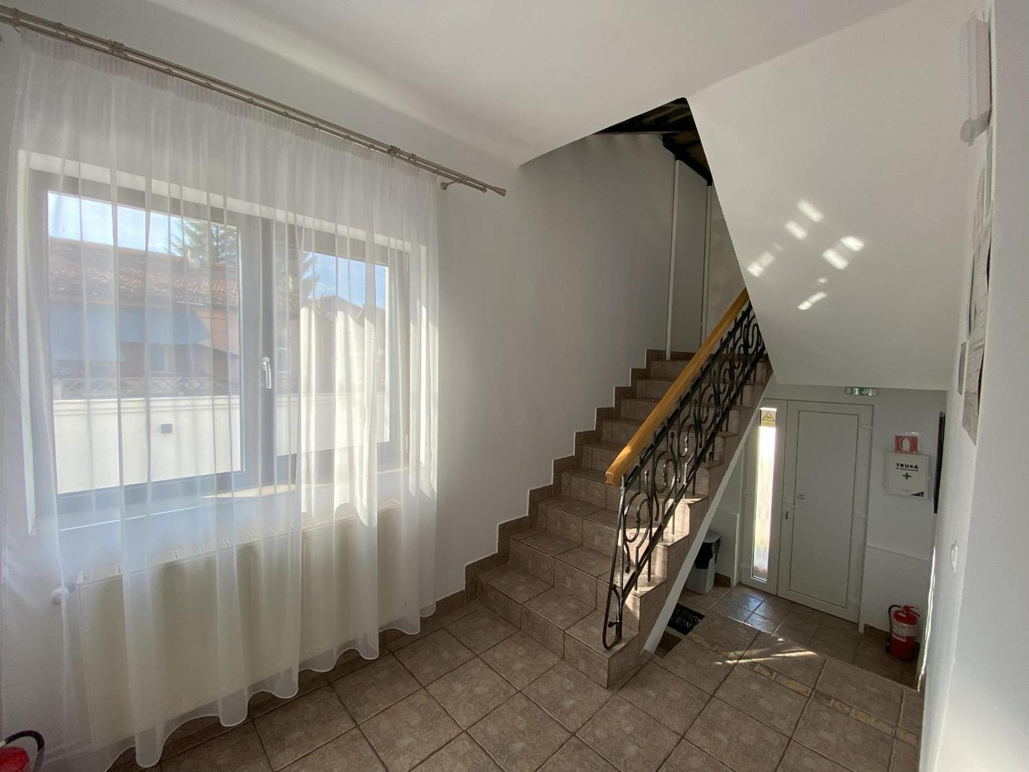Vila Roza Sighetu Marmaţiei Dış mekan fotoğraf